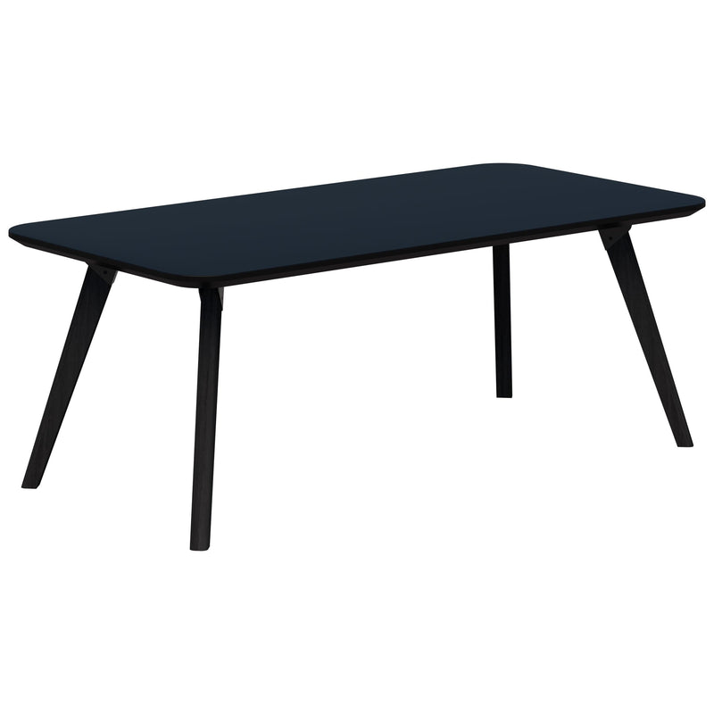 Oslo Coffee Table 1200 x 600 / Black Velvet Soft Matt / Black Stained Tasmanian Ash