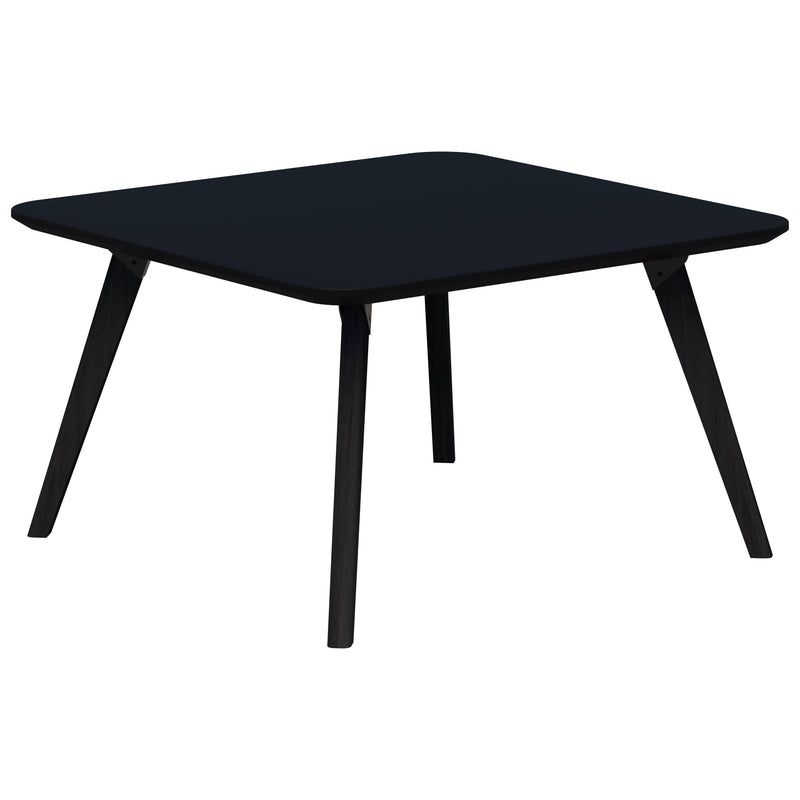 Oslo Coffee Table 600 x 600 / Black Velvet Soft Matt / Black Stained Tasmanian Ash