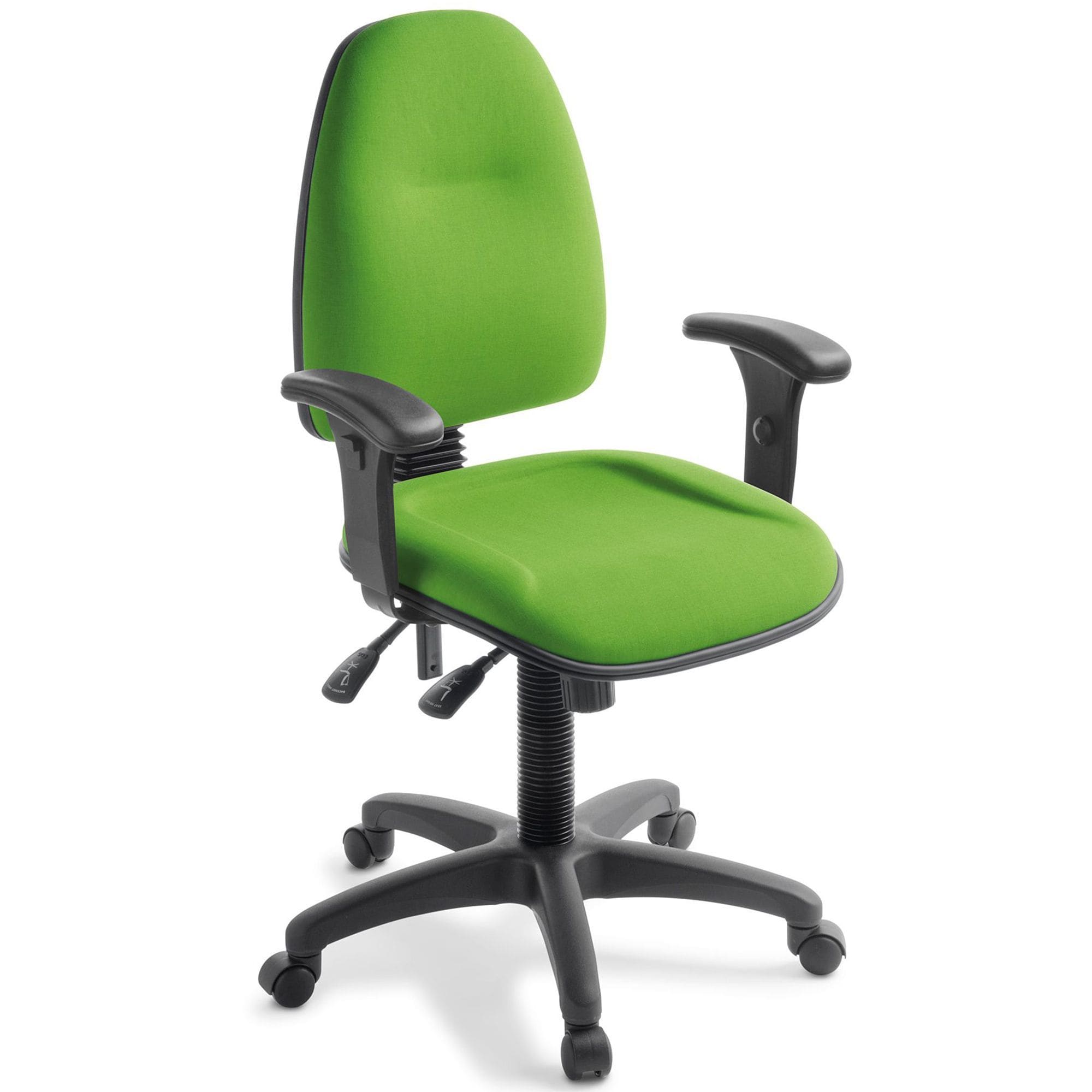 EDEN Spectrum 3 Lever Chair Leaf / With Arms / Bond