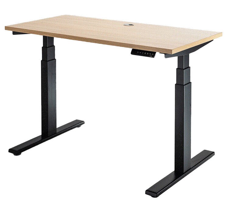 Enhance Individual Standing Desk 1200 x 600 / Autumn Oak / Black