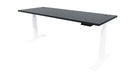 Rise Electric Adjustable Stand up Desk White Frame Carbon