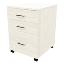1 File 2 Drawers Mobile Drawer Locking Coastal Elm