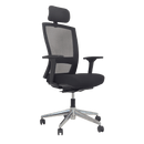 Buro Mentor Upholstered
