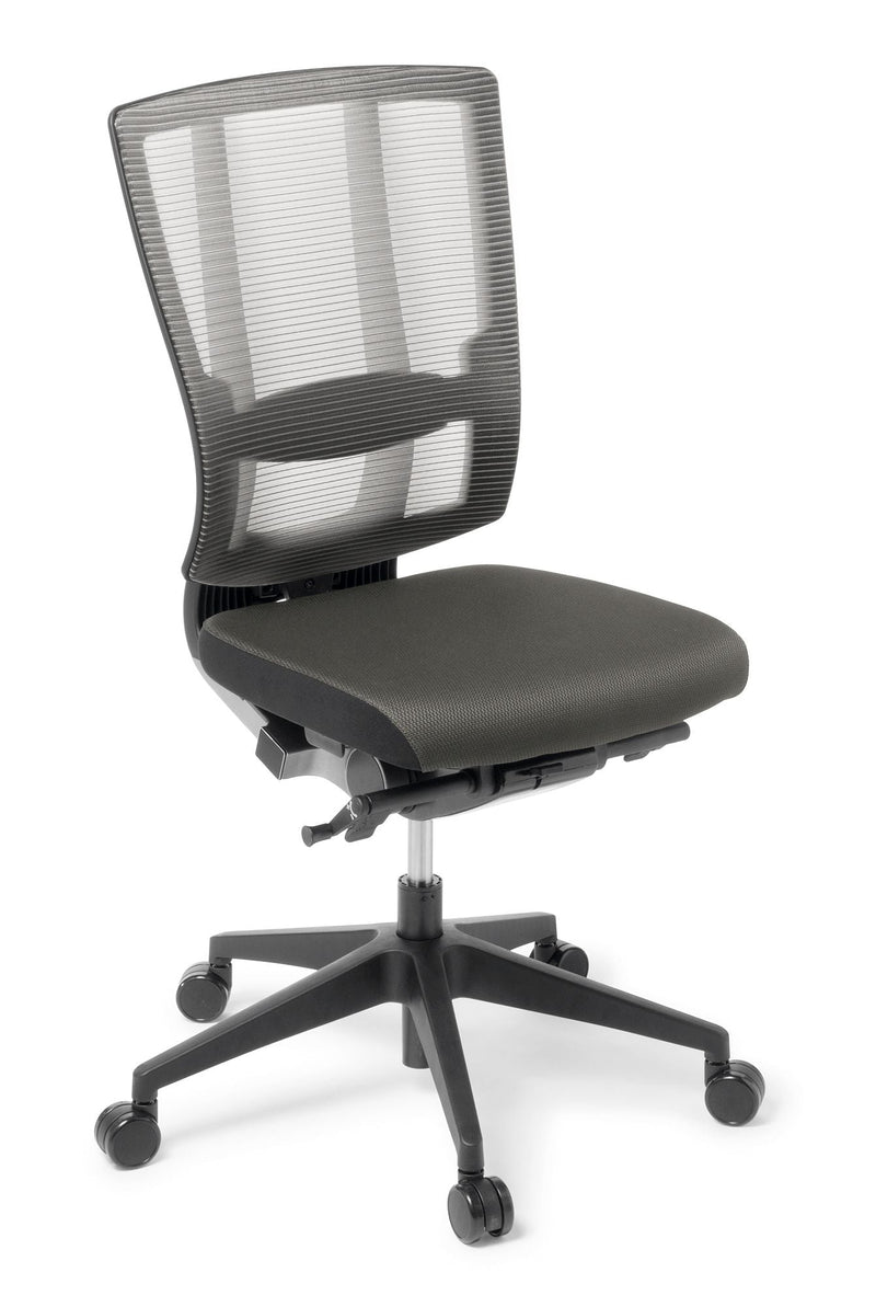 Cloud Ergo Mesh Chair Charcoal / Without