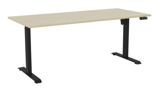 Haven Boost Standing Desk 1800 x 800 / Nordic Maple / Black