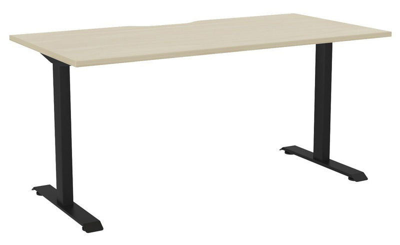 Haven Fixed Single Sided Desk - Scallop 1600 x 800 / Nordic Maple / Black