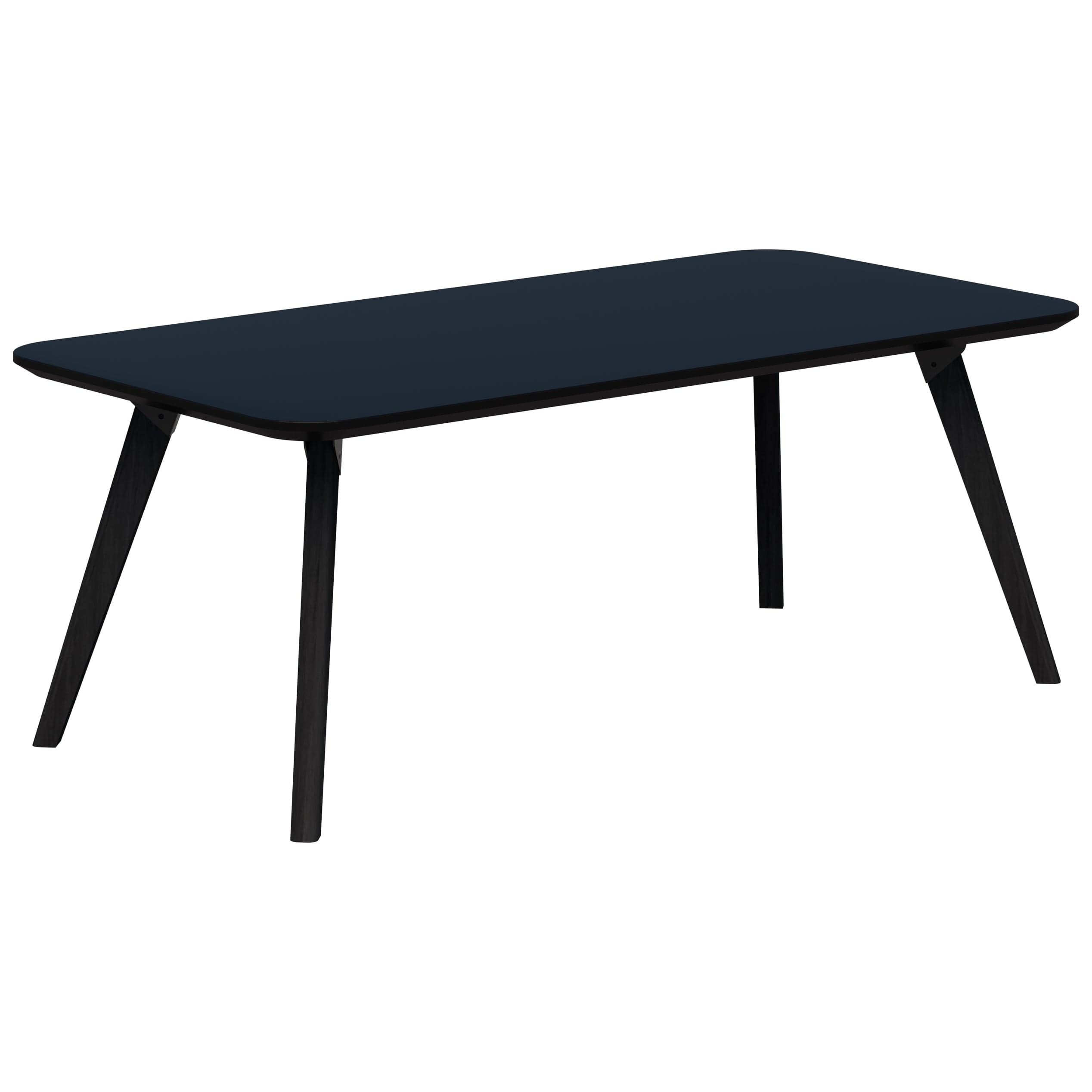 Oslo Coffee Table 1200 x 600 / Black Velvet Soft Matt / Black Stained Tasmanian Ash