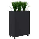 Rapid Mobile Planter inc. Artificial Plants 1200 x 900 / Black / Option 2