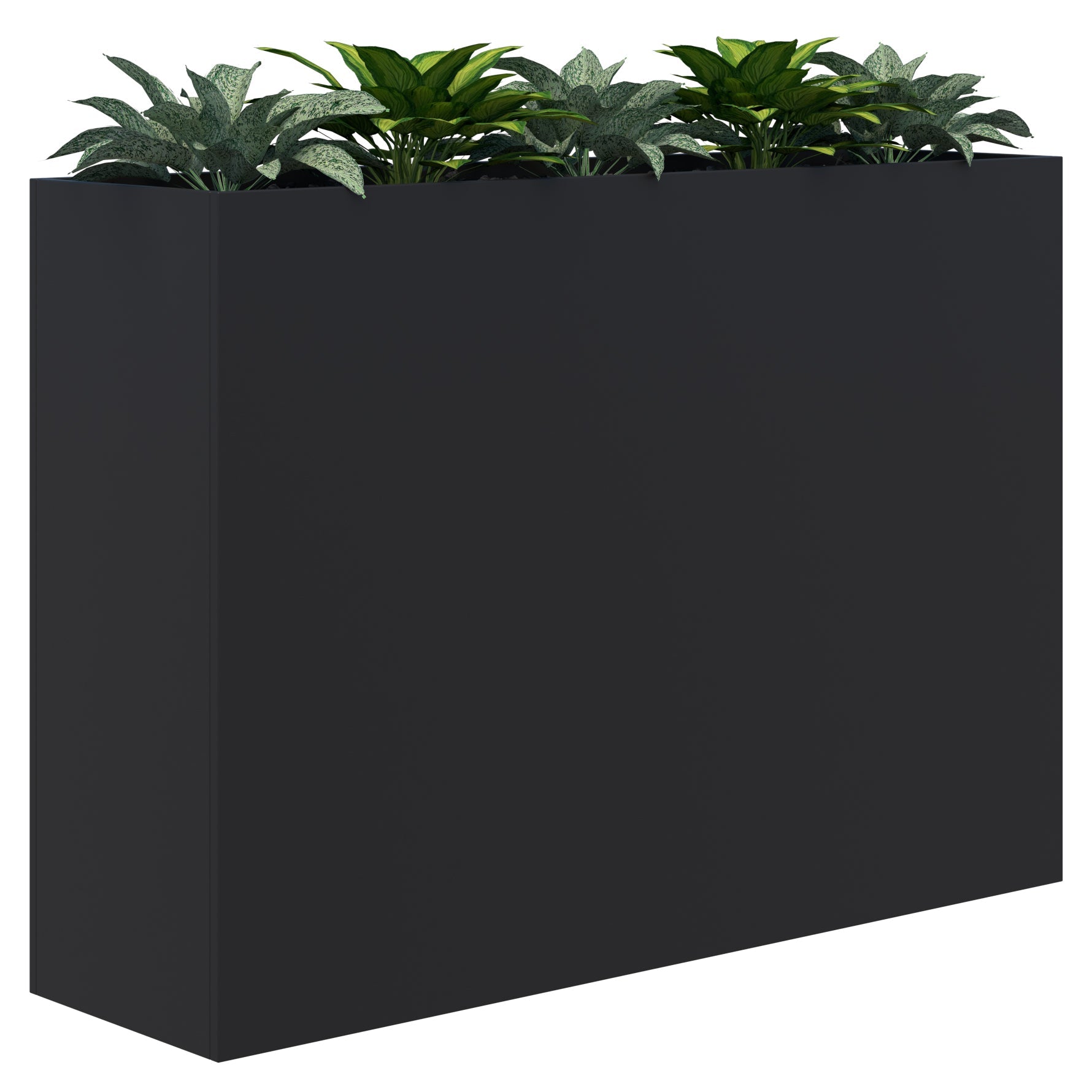 Rapid Planter & Artificial Plants 1200 x 1600 / Black / Option 1