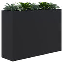 Rapid Planter & Artificial Plants 1200 x 1600 / Black / Option 1