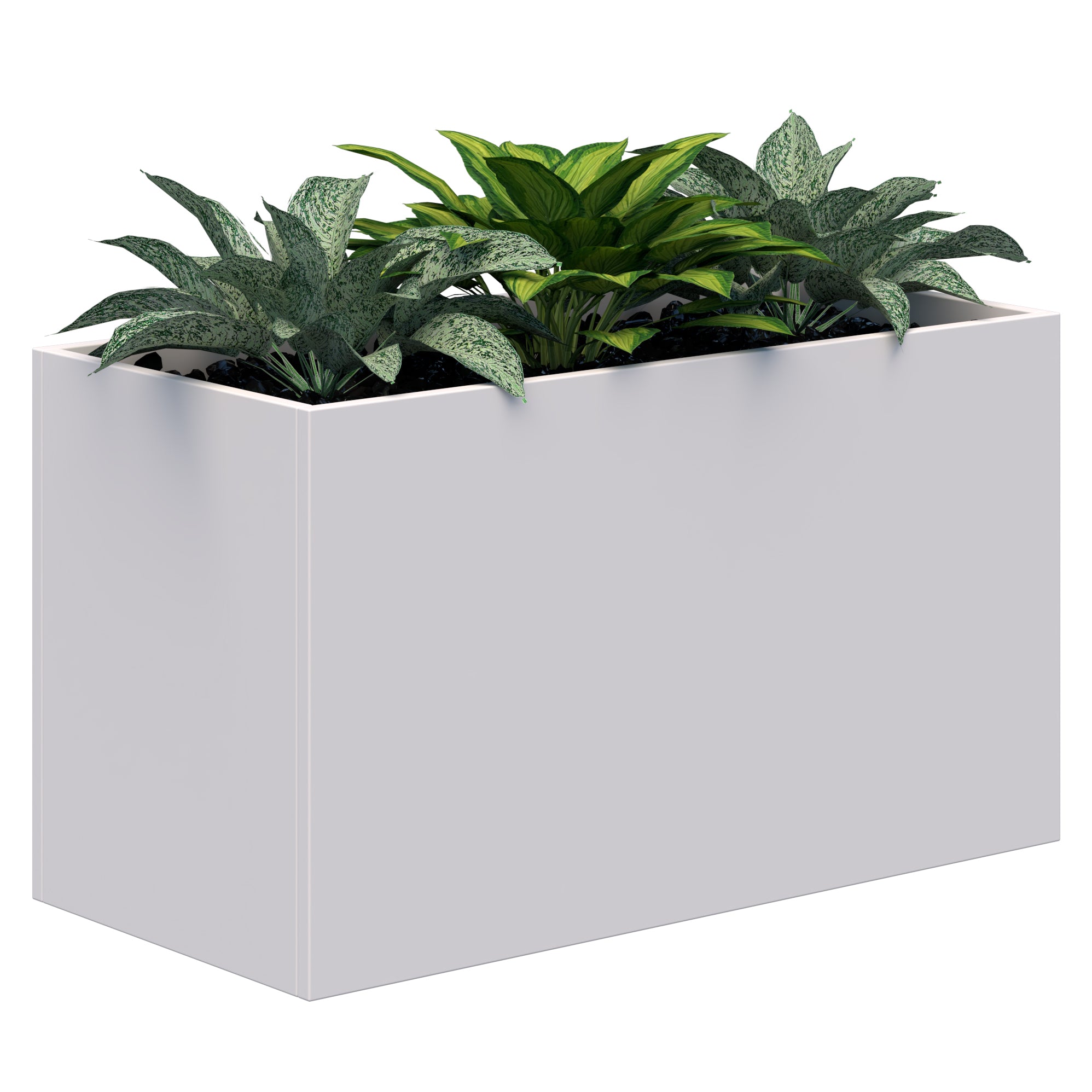 Rapid Planter & Artificial Plants 600 x 900 / White / Option 1