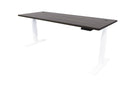 Rise Electric Adjustable Stand up Desk 1500x700 / White / Dark Oak