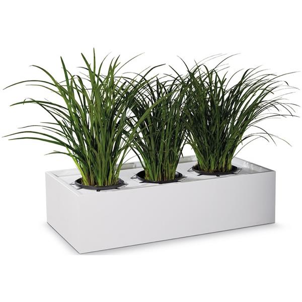 Strata Tree Box Strata II Planter Boxes - 230H x 1200W x 460D
