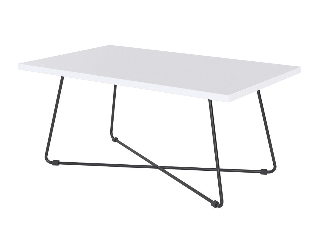 Zion Coffee Table White / Black