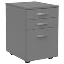 Eko Mobile Drawers 2 drawer + file / Silver