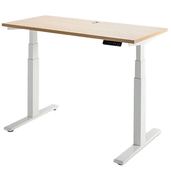 Enhance Individual Standing Desk 1200 x 600 / Autumn Oak / White
