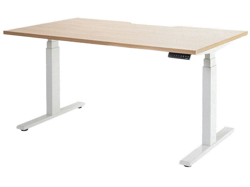 Enhance Individual Standing Desk 1600 x 800 / Autumn Oak / White