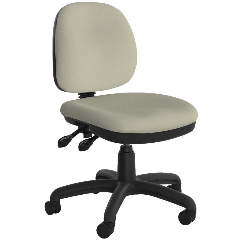 Evo Mid Back 2 Lever Chair Riverstone / Without