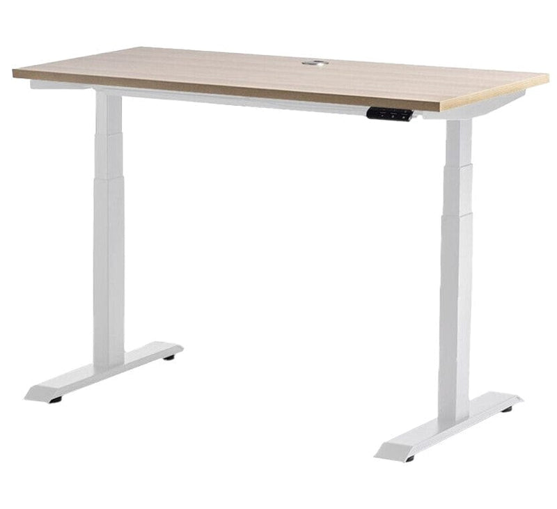 Rise Individual Standing Desk 1200 x 600 / Autumn Oak / White