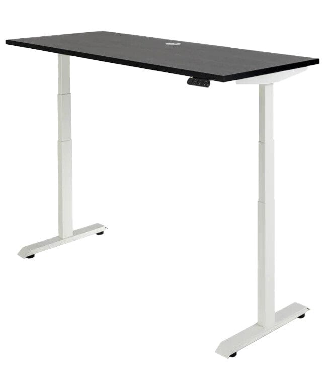 Rise Individual Standing Desk 1200 x 600 / Black / White