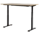 Rise Individual Standing Desk 1500 x 800 / Autumn Oak / Black