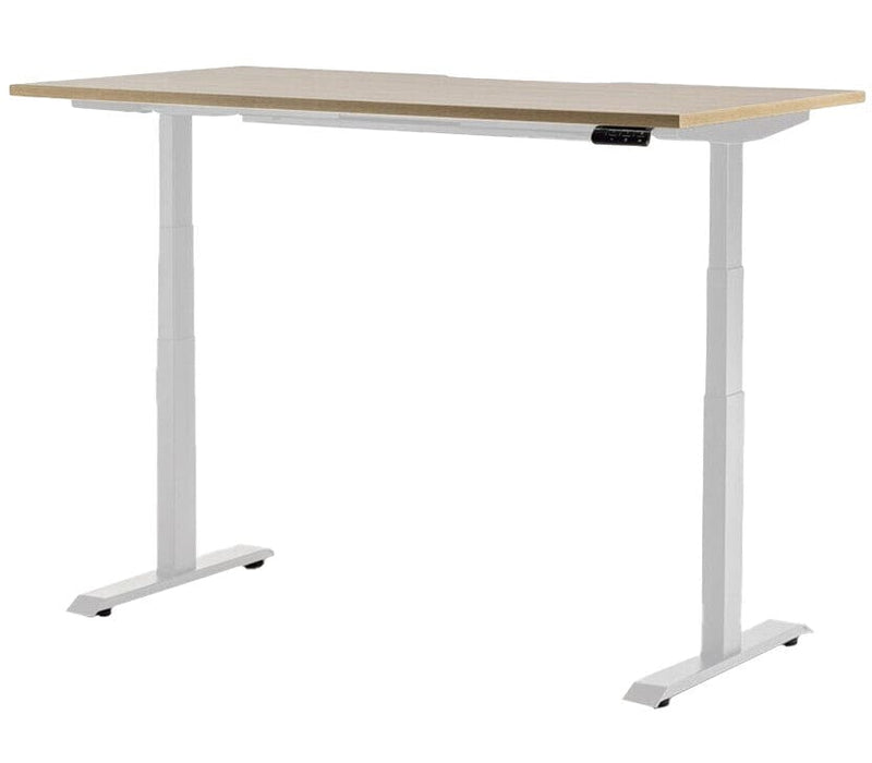 Rise Individual Standing Desk 1500 x 800 / Autumn Oak / White