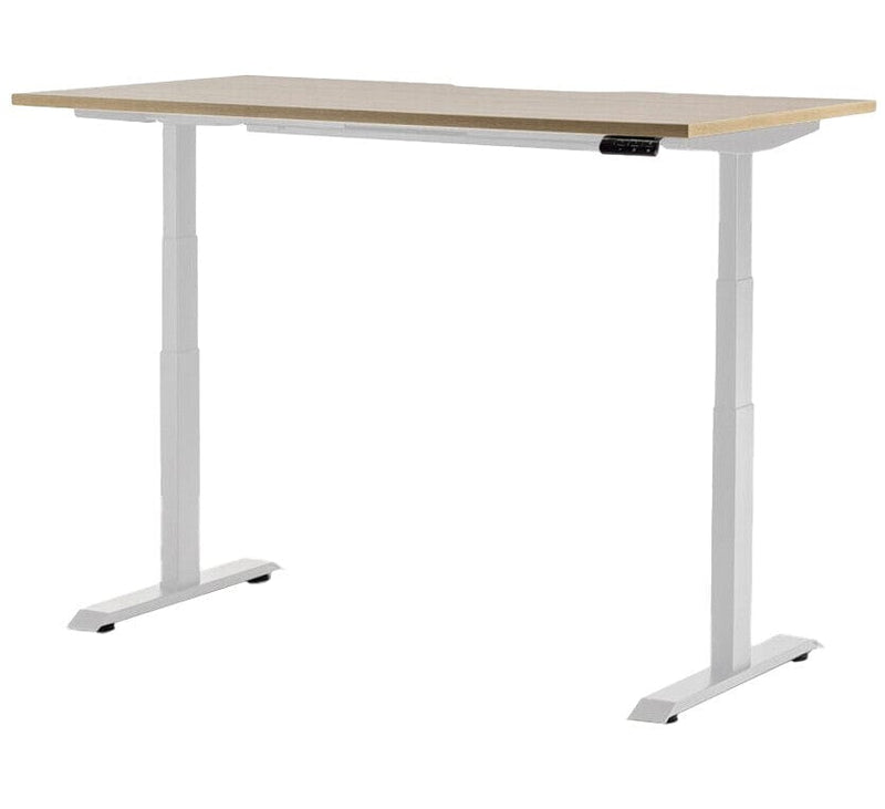 Rise Individual Standing Desk 1800 x 800 / Autumn Oak / White